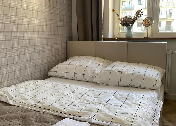 Rey Premium Όλστυν